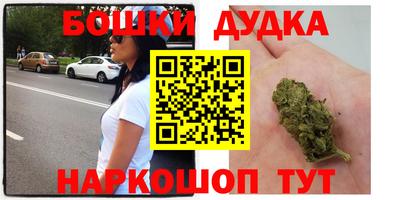 крисы Пушкино