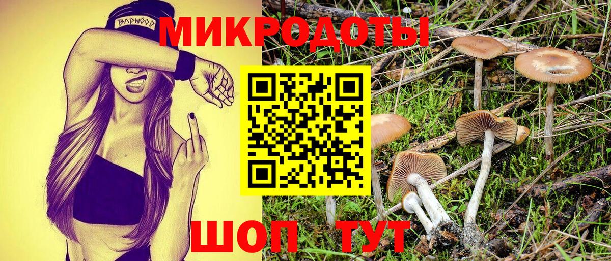 Чистополь  Галлюциногенные грибы GOLDEN TEACHER  Галлюциногенные грибы ЛСД  Вход с VPN 