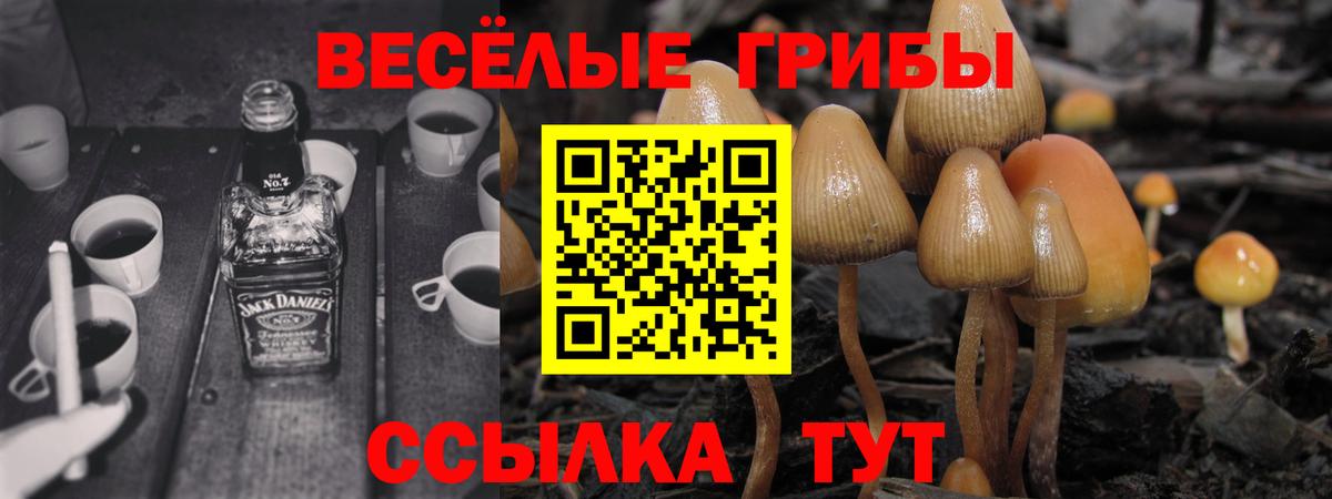 Галлюциногенные грибы мицелий Чистополь